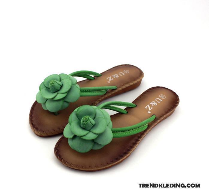 Slippers Dames Grote Maten Plat Zomer Vrouwen Zoet Bloemen Zandkleur Groen